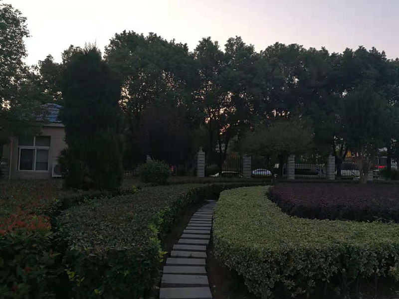 硬汉视频在线观看免费观看绿化